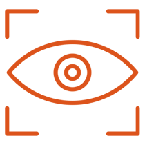 Our Vision