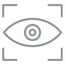 Our Vision